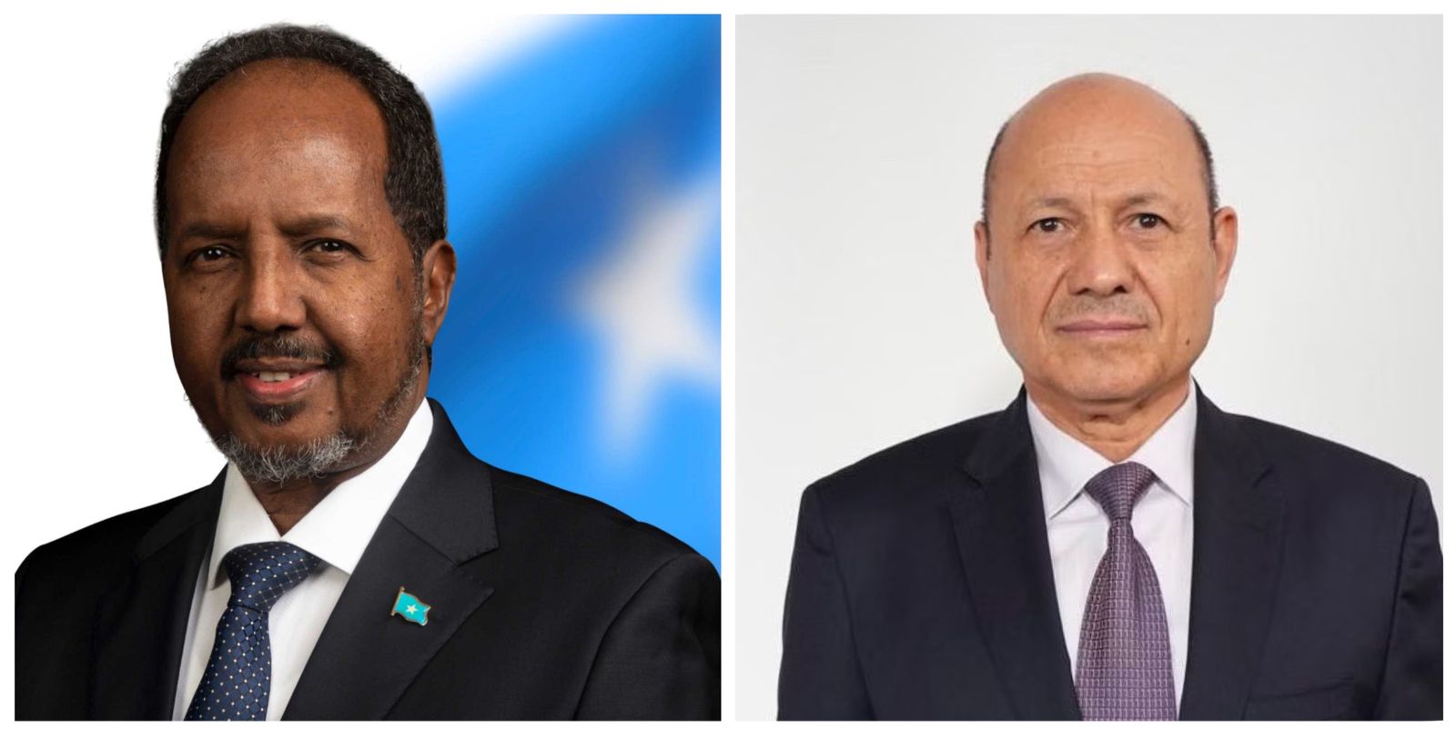 العليمي والرئيس الصومالي الدكتور حسن شيخ محمود رئيس